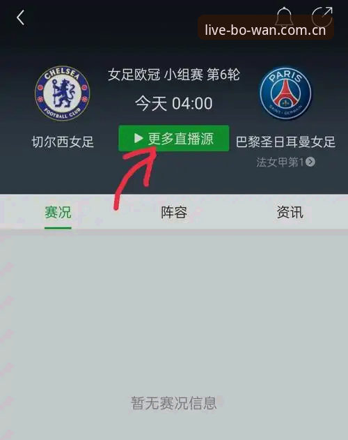 资深用户王磊的长期体验：博万体育APP如何改变观赛方式
