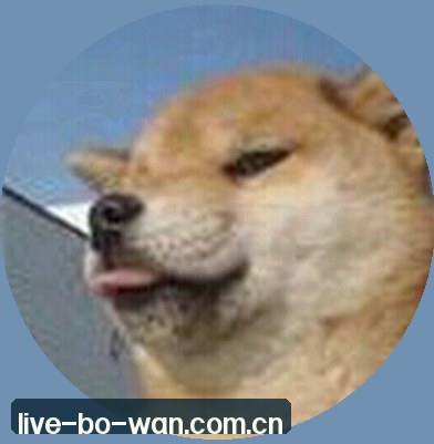 何雨